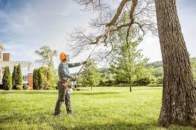 Best Emergency Tree Removal  in Solana, FL